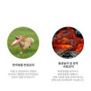 구곡폭포 국민여가 캠핑장 이미지