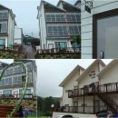 까치와 산토리나 이미지