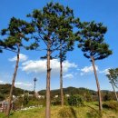 앞들수변공원 이미지