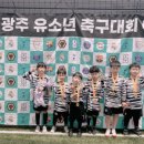 본촌초등학교 이미지