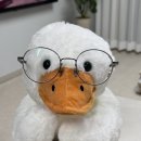 오렌즈 충북혁신도시점&스타옵틱 이미지