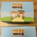 🪴자연정화 이끼 만들기 🪴 이미지