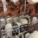 대해코리아 | 2025 핸드아티코리아 방문기 + 꿀팁, 매장별 선물