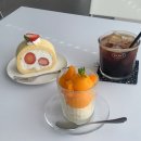 마산 합성동카페 SNS감성가득 보우트(BOWT) 시그니처 요거트롤케이크 내돈내산 후기