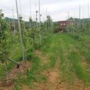 둘레길펜션 이미지