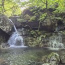 청수6로 Daum카페