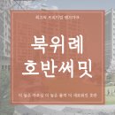알파랜드 공인중개사사무소 이미지