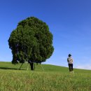 Part2 제2강 2025.4.16(수) 올림픽 공원 출사 이미지