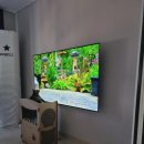 딩글딩글고양이 이미지