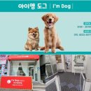 i'm dog(아이엠도그) | 원주 단구동 애견 미용&amp;호텔 전문 ‘아이엠 도그’ 솔직후기