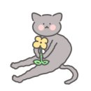스튜디오곰국