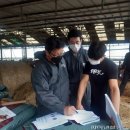 김영수농장 이미지