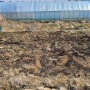 하나로농장-2 이미지