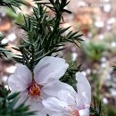 한대역앞 이미지