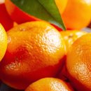 제주하우스 이미지