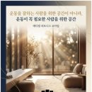 분도메디컬 네이버블로그