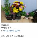 죽산작은도서관 | 백구초1234학년 /익산왕북초 34학년/ 죽산작은도서관/제일사회복지관/김제노인복지회관Diy키트/테라리움...