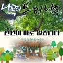 느티나무 이미지