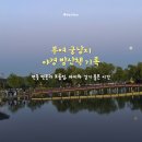 부여안전 | 부여 궁남지 야경 산책 후기