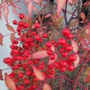 미르공인중개사사무소 이미지