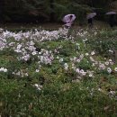 서울대학교 농업생명과학대학 이미지