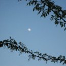 막걸리한사발 이미지