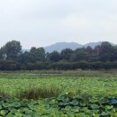 상주 공검지 이미지