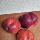 별미당김밥 이미지