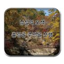 가을단풍 산행 - 남설악 오색지구 흘림골에서 주전골로 이미지