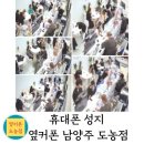 다산초등학교 | 다산초등학교, 키즈폰? 입학 2달전 준비해야 하는 이유