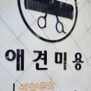 우진동물병원 네이버블로그