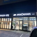 윌로우모터스