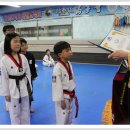 용인대 한얼 태권도 이미지