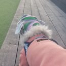 제가 아는 캣맘 이야기~♡♡♡ 이미지