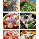 냉산친환경체험농장 이미지