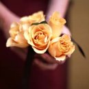 오늘부터 사진작가 이미지