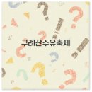 구례군청 | 2025 구례 산수유꽃축제 기간과 개화시기 맛집까지 완벽 정리