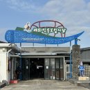 성산오일시장 | 제주 세화 오일장 날짜 시간 볼거리 주차 성산오일장과 비교 후기