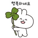 강남 고양이 분양 냥블리 이미지