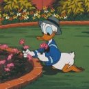 화로닭발 이미지