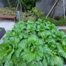 옥수수부동산중개사무소 이미지