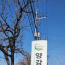 양강면사무소 이미지