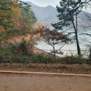 황토길에서