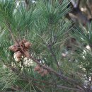 송근한의원 이미지