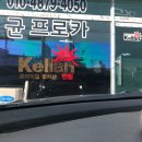 프로카 이미지