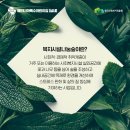 베타니아어린이집 | 깨끗하고 숲 향기가 솔솔 나는 복지시설나눔숲, '베타니아특수어린이집(실내)'