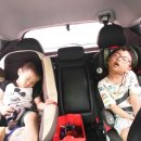 석민농장 이미지