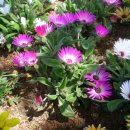 양양5일장 이미지