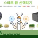 도봉-도봉-서울도봉-2290 이미지