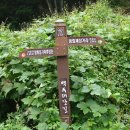 장안산군립공원 Daum카페